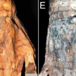 Laser Imaging Reveals Hidden 1,200-Year-Old Patterns on Chancay Mummies in Peru