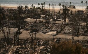 Families Left Traumatised By Los Angeles Fires