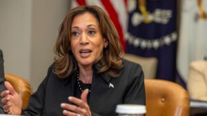 California fires: VP Harris called out over claim about insurance companies