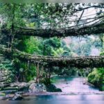 Celebrating Meghalaya’s Living Root Bridge, CM Sangma visits Siejlieh village