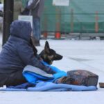 A ‘staggering’ 80,000 people and more were homeless in Ontario last year, new report finds