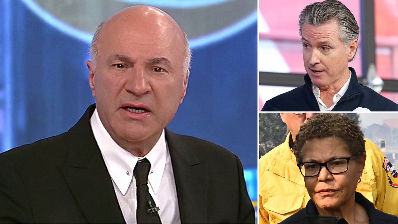 O’Leary on wildfire aid: ‘Not a dime’ for Gavin Newsom, Karen Bass until they’re removed from office