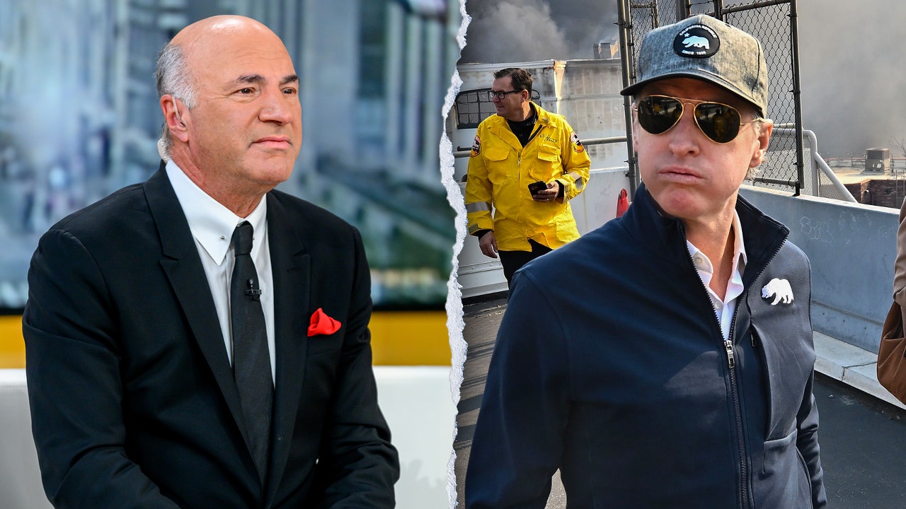 Kevin O’Leary goes off on Gavin Newsom’s ‘gross mismanagement’: He’s the ‘Trudeau of California’