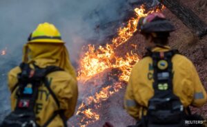 24 Dead In Los Angeles Blaze, Strong Winds Trigger ‘Fire Tornado’: 10 Points