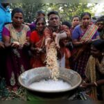 Pongal 2025: Places to visit for the harvest festival in India