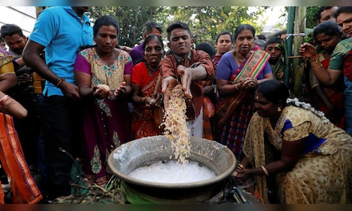 Pongal 2025: Places to visit for the harvest festival in India