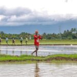 First Cabinet meeting of 2025: How the government intents to further empower farmers