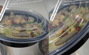 Customer Finds Live Worm In Zomato Meal, Cloud Kitchen Apologies