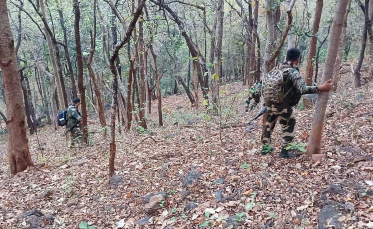 12 Maoists Killed In Encounter With Security Forces In Chhattisgarh