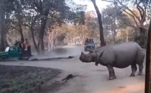 Mother And Daughter Fall In Front Of Rhinos In Kaziranga. Here’s What Happened Next