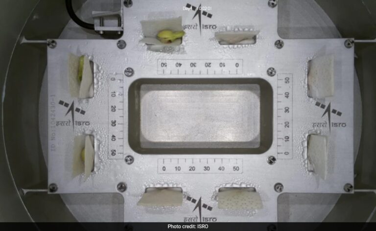 In A First, Life Sprouts On ISRO’s Space Lab