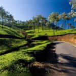 8 scenic places to visit in Kerala this year: Munroe Island, Vagamon should be on your list