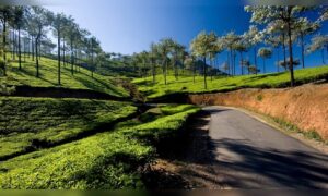 8 scenic places to visit in Kerala this year: Munroe Island, Vagamon should be on your list